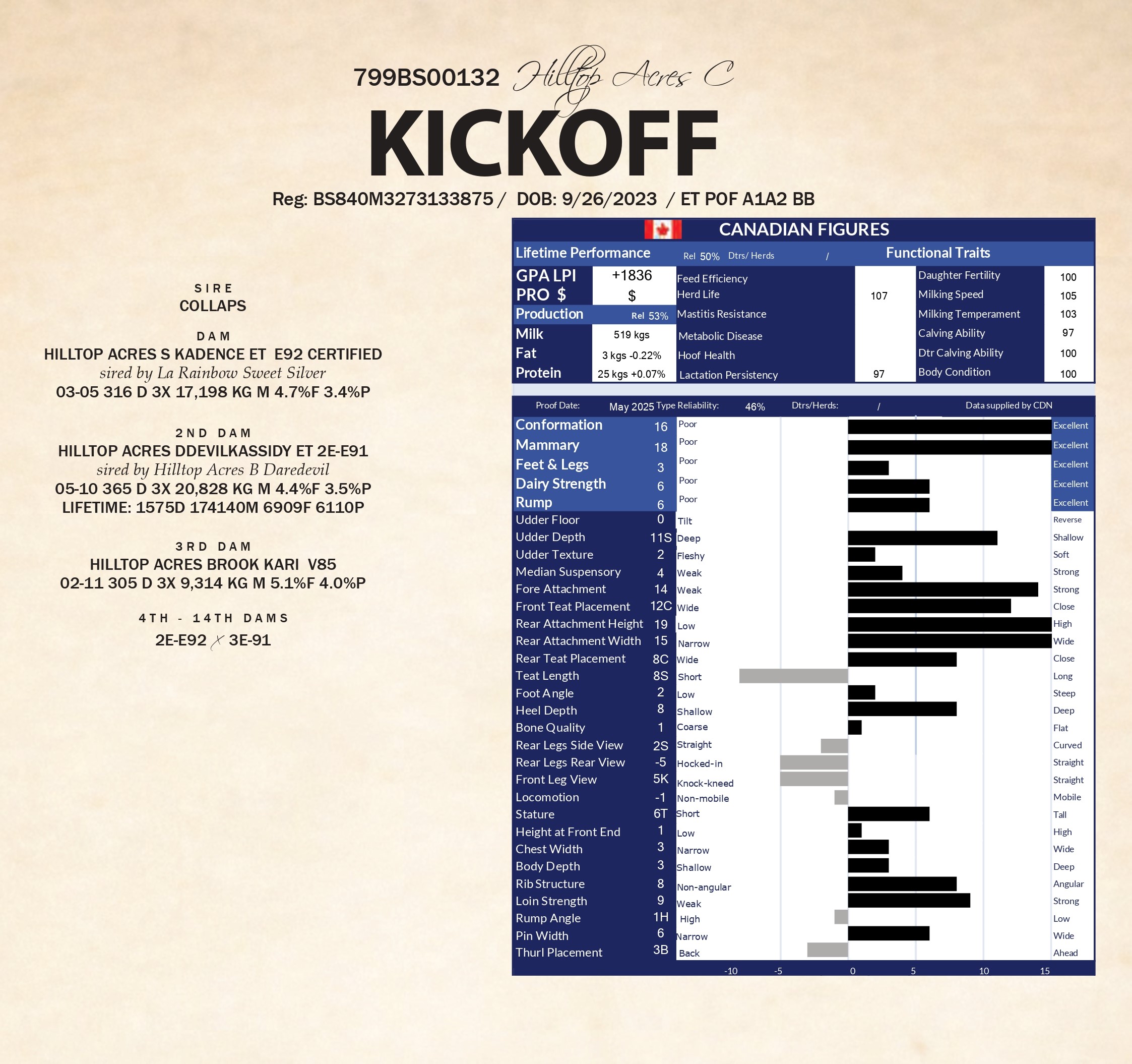 KICKOFF — 799BS00132